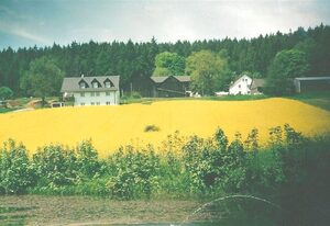 Ferienhof Lang – Fewo 1 mit Terrasse und Panoramablick direkt am Waldrand