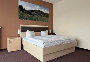 Hotel Am Heidepark – Doppelzimmer, Dusche oder Bad, WC
