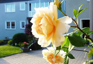 Ferienhof Obertennersreuth Lukas Feulner – Ferienwohnung Weißensteinblick