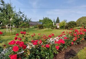 HERZstück Erzgebirge – Komfort-Ferienwohnung mit Familienbett & Badewanne