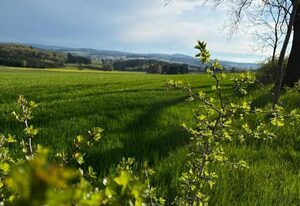 Ferienwohnung zur Bugspitze – Ferienwohnung (140qm) mit 3 Schlafzimmern