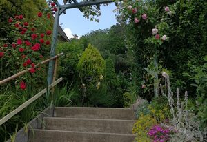 Ferienhaus Sonnenschein – Ferienwohnung, 1 Schlafraum, Balkon