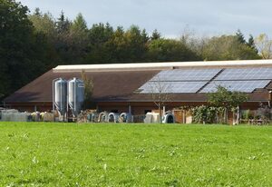 Ferienbauernhof Storchenhäusle – Fewo Schmetterling mit Dachterasse