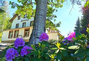 Pension Haus Anna – Lavendelzimmer mit 2 Einzelbetten