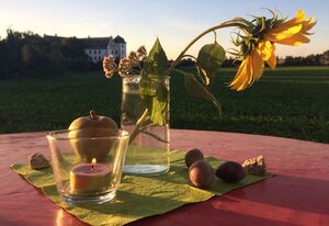 Ferienwohnung Walkershofen – Barrierefreie Ferienwohnung mit freiem Ausblick in die Landschaft