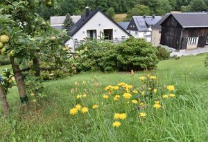 Biohof Seifert – Ferienwohnung Katzenkorb