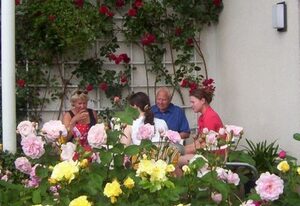 Ferienwohnung/ Appartement Haus am Sommerberg