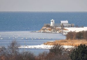 Strukkamp