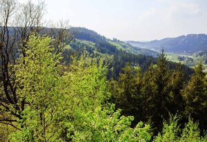 Ferienwohnung Ebert – Ferienwohnung (120qm) inkl. Eintritt ins Erlebnisbad