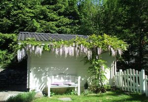 Allgäuvilla – DZ HUBERTUS