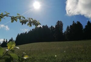Ferienwohnung Mangold mit Herz