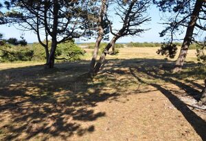 Wenkendorf – Gemütliche Ferienwohnung mit Kamin für 2 Erwachsene, 3 Kinder und Hund auf Fehmarn