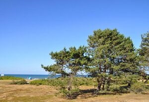 Wenkendorf – Gemütliche Ferienwohnung mit Kamin für 2 Erwachsene, 3 Kinder und Hund auf Fehmarn
