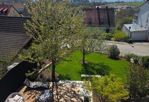 Ferienwohnung Halbig – Ferienwohnung Franconia Noir Halbig