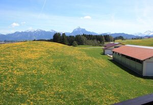 Panoramahof Breher – Ferienwohnung Panorama/2 Schlaf/DG F****