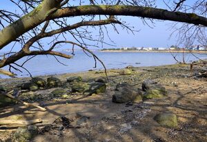 Westerbergen – Ferienhaus "Rita’s Haus am Meer" mit Garten, Meerblick, Terrassen - strandnah