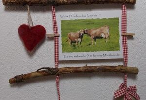 Ferienhof Hefele | Zimmer Alpsee | mit KönigsCard