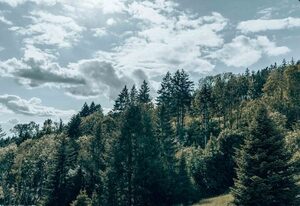 Auszeit3 – Lichtzeit3  klein aber fein