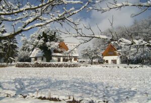 Ferienhaus Waldesruh – Gemütliches Ferienhaus "Waldesruh"mit herrlichem Blick übers Maintal