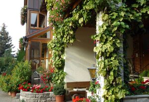 Ferienhof Selz – Wohnung 1 mit kostenlosem WLAN