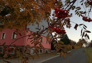 Ferienwohnung "Zum Ausblick" – Appartement/Fewo, Dusche, WC, Wohn-/Schlafraum