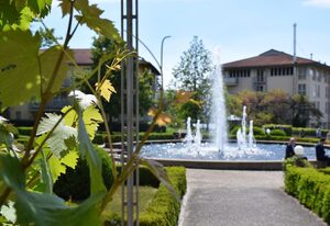 Radisson Blu Park Hotel &amp; Conference Centre, Dresden Radebeul – Doppelzimmer Standard im Villenpark