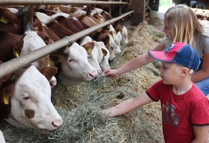Ferienbauernhof Schuler – Ferienwohnung Gänseblümchen mit Küche und Safe