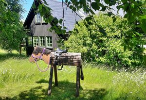 Ferienhaus Schellerhäusl