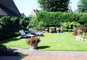 Heringsmöwe in Neue Tiefe