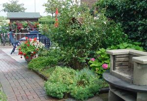Wohnung in Neue Tiefe mit Terrasse, Garten und G