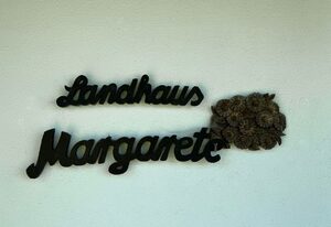 Ferienhaus Fuchsweg im Feriendorf Reichenbach (F13) – Landhaus Margarete mit Traumausblick (HT, F13)