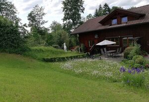 Ferienhaus Biberweg im Feriendorf Reichenbach (12) – Ferienhaus mit Südterrasse und Bergblick (Bi12)