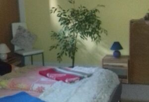 Ferienhaus / -wohnung Langer – Ferienwohnung