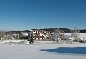 Ferienhof Schoppa-Haisl – Ferienwohnung  Hofblick