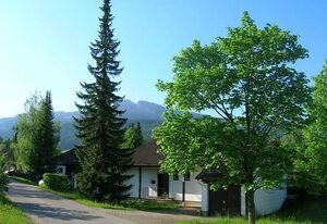 Ferienhaus Fuchsweg im Feriendorf Reichenbach (F8) – Helles Ferienhaus mit großer Südterrasse (F8)