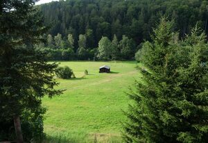 Erbgerichtsgasthof Holzhau – Einzelzimmer, Dusche, WC