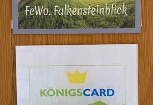 FeWo Falkensteinblick