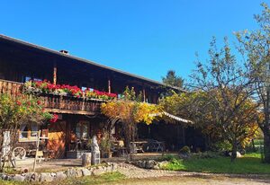 Ferienwohnung DachZeit – Dachgeschosswohnung mit Blick auf den Falkenstein