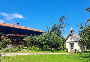 Ferienwohnung DachZeit – Dachgeschosswohnung mit Blick auf den Falkenstein
