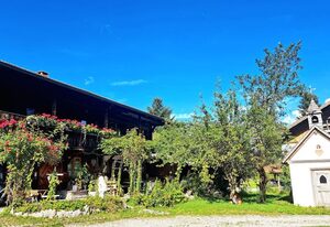 Ferienwohnung DachZeit – Dachgeschosswohnung mit Blick auf den Falkenstein