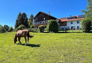 Alpen Panoramahof – Ferienwohnung, 2 Schlafzimmer, Bad + Dusche/WC