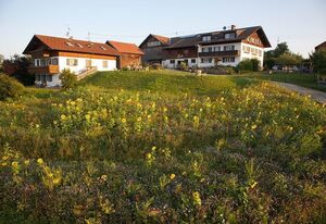 Ferienwohnung Bergblick ****, Hof Alpenseeblick, Nesselwang/Attlesee/Allgäu