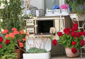 Pension Zum Ebenstein am Donausteig – Doppelzimmer (ca. 18 qm)