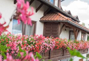 Pension Zum Ebenstein am Donausteig – Doppelzimmer (ca. 18 qm)