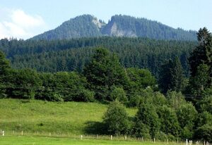 Ferienhaus Wieselweg im Feriendorf Reichenbach (6) – Ferienhaus für 5 Pers. - Sonnenterrasse mit Grill (HT, W6)