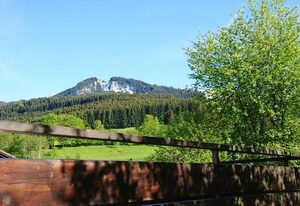 Ferienhaus Wieselweg im Feriendorf Reichenbach (16) – Haus Maya - Ferienhaus für 6 Personen mit Haustier (W16)