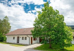 Ferienhaus Gamssteige im Feriendorf Reichenbach (G8) – Gemütliches Ferienhaus mit Südterrasse (G8)