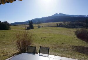 Ferienhaus Gamssteige im Feriendorf Reichenbach (G4) – Modernes Ferienhaus mit Blick auf die Alpspitze (G4)