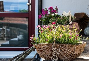 Ferienhaus Heuser – FeWo Sonnenseite, Terrasse und Südbalkon