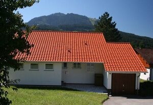 Ferienhaus Gamssteige im Feriendorf Reichenbach (G16) – Ferienhaus im Landhausstil mit großer Terrasse (G16)